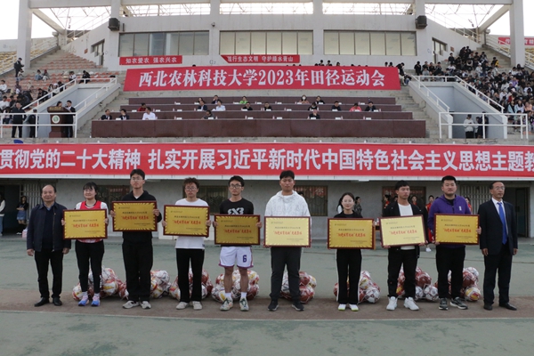 【2023校运会】喜报！色情片连续6年荣获阳光体育运动先进单位