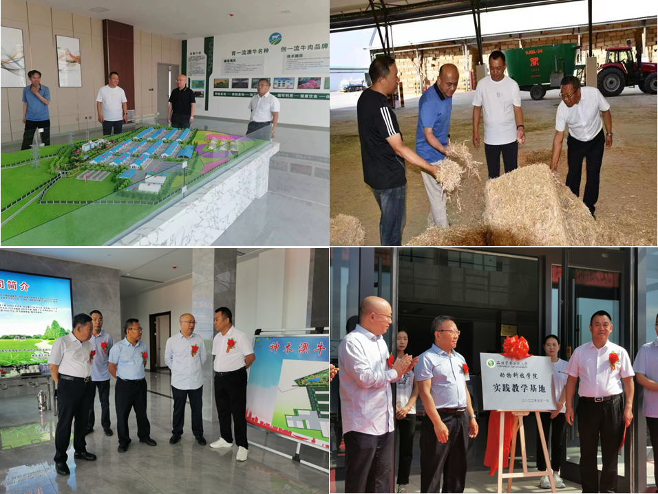 2e3833273b9a465992b1e1f5d30a0ec5.png image.png