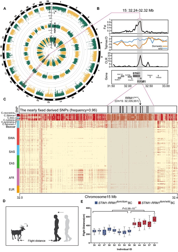 7e4956d379494c54ba2c56546fc62e57.jpg 1_副本.jpg
