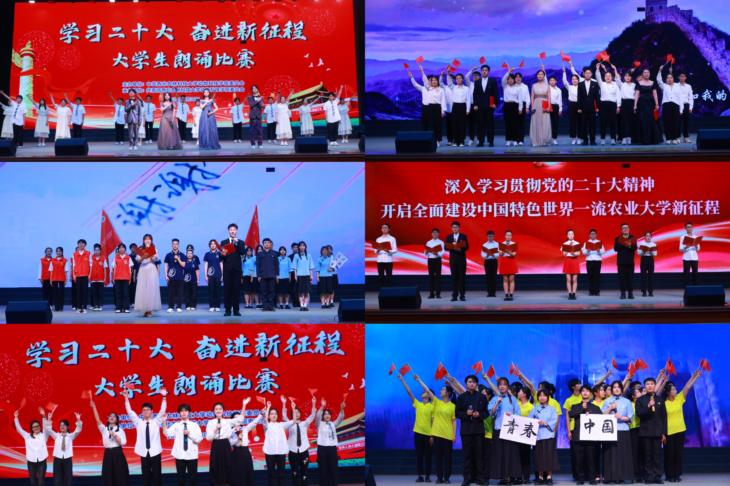 精彩瞬间.jpg