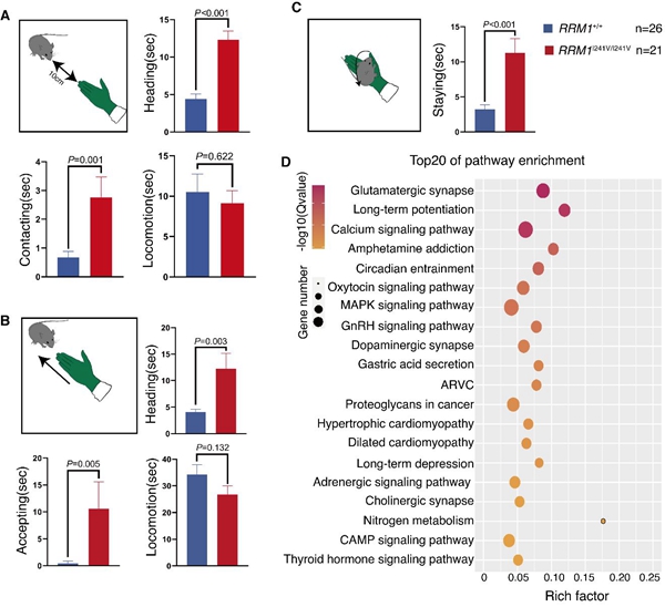 045caa23fbb64a8b82153f11eb74f7bc.jpg 3_副本.jpg