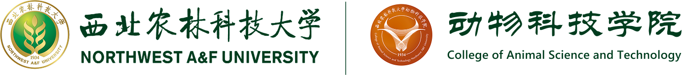 色情片
